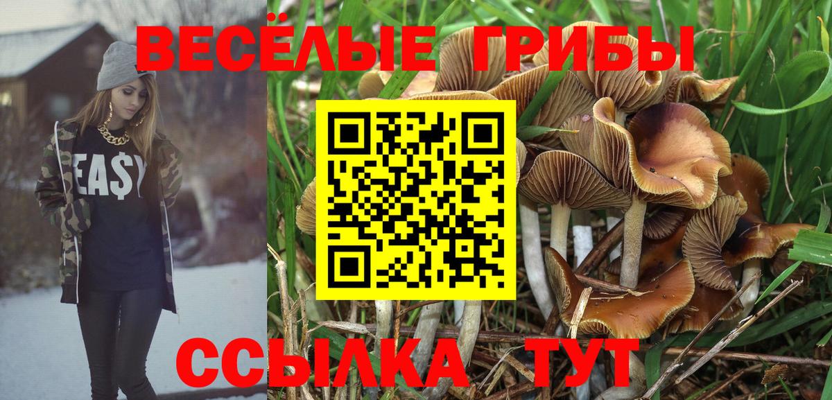 Галлюциногенные грибы Cubensis  Галлюциногенные грибы MAGIC MUSHROOMS  Десногорск  Вход с VPN 